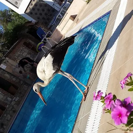 Akay Hotel 3*