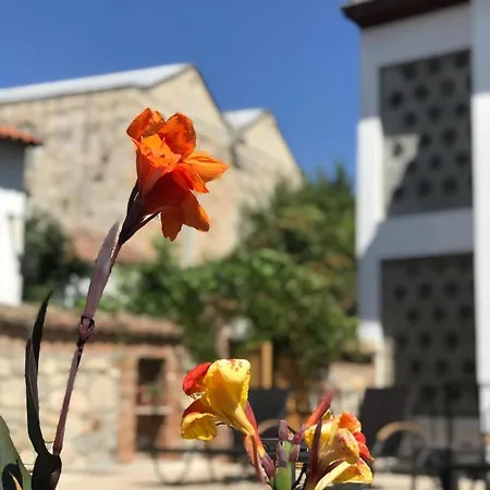 Akay 3* Selçuk