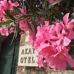 アカイ