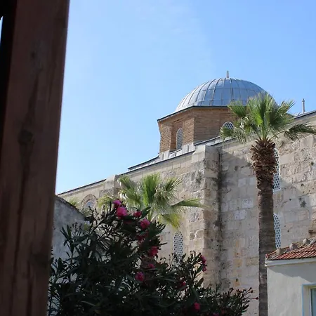 アカイ セルチュク