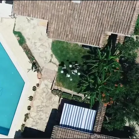 アカイ セルチュク