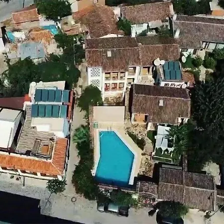 アカイ セルチュク