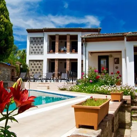 アカイ セルチュク