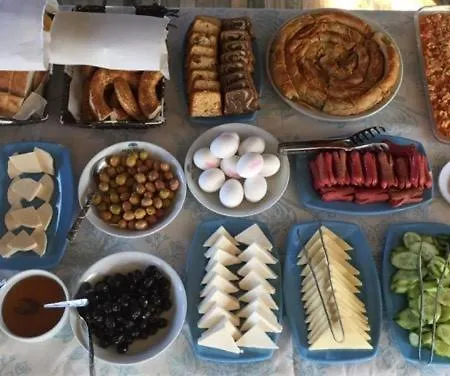 アカイ セルチュク