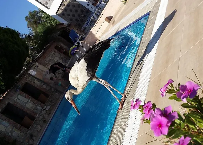 Akay Hotell 3*