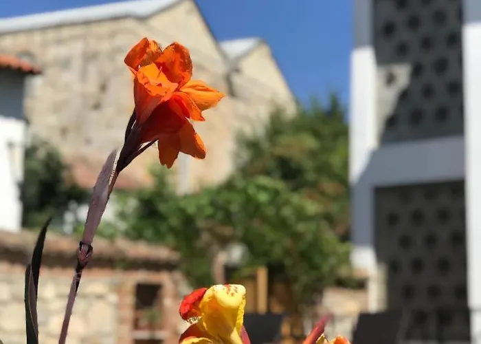 Akay 3* Selçuk