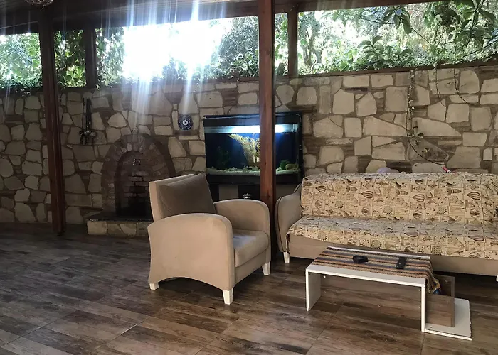 Akay Selçuk