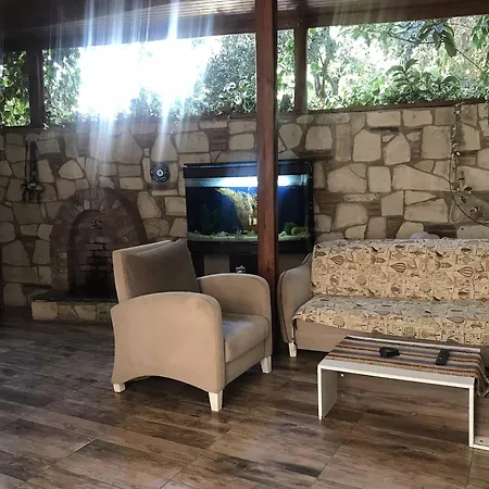 Akay Σελτσούκ
